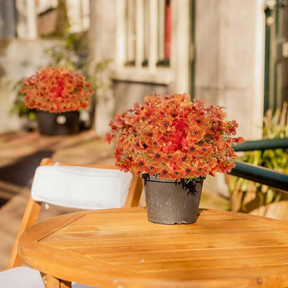 ⚡This Week's Special Price🍁12 Bundles Artificial Fall Plants, Fake AutumnEucalyptus Flowers for Thanksgiving OutdoorDecoration, UV Resistant No Fade Faux PlasticPlants Garden Porch Window Box FarmhouseHanging Decor(fall and golden) M6