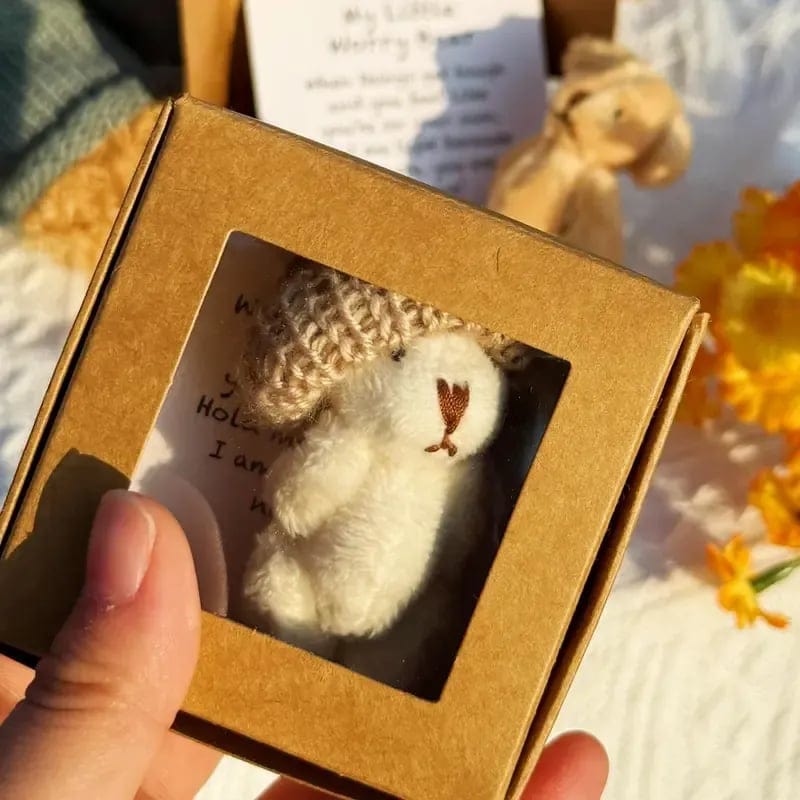CZTICLE®🎁Handmade Mini Plush Teddy Bear in Box