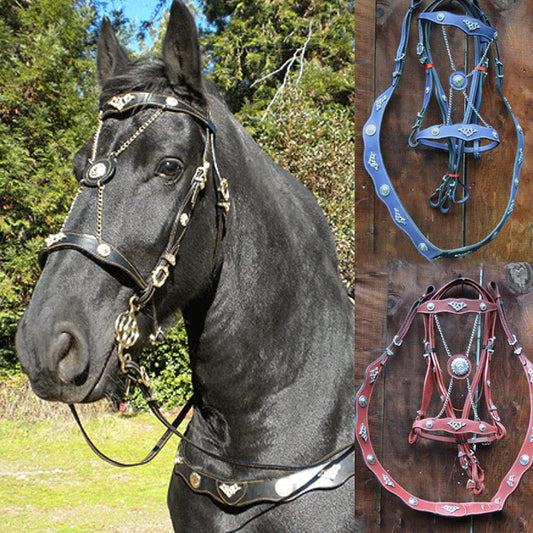 Cilifer® Leather Horse Halter with Adjustable Metal Buckle Outdoor Riding Universal Bridle for Horses.Blue  M1