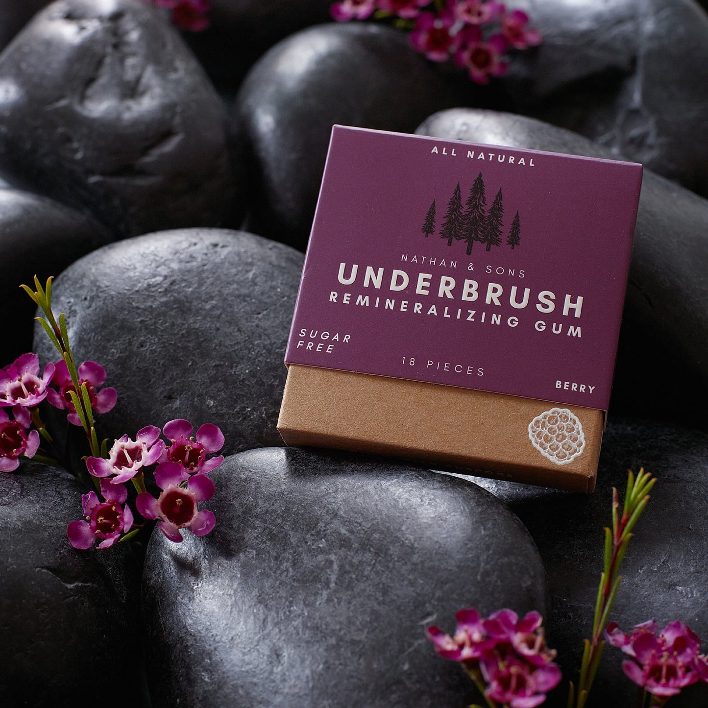 ⏰Last Day 49% OFF🔥Remineralizing Gum🦷🪥M1