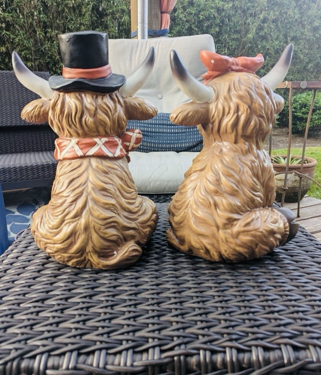 Cilifer®🔥LAST DAY 49% OFF - 2025 Thanksgiving Highland Cow Set M1