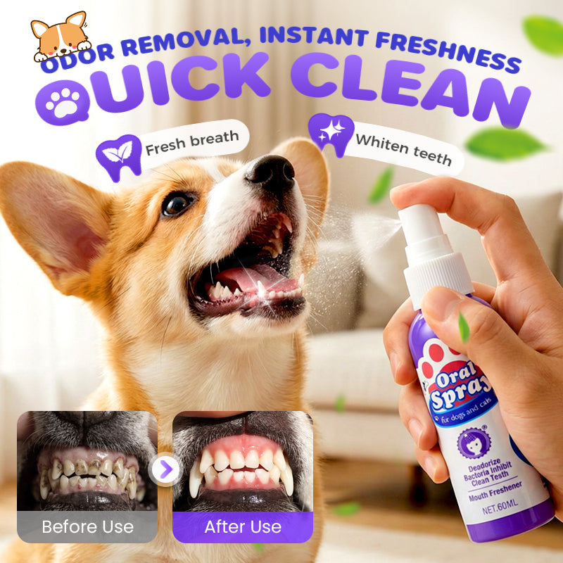 Cilifer® 🔥2026 New Arrivals: 50% Off for a Limited Time!🔥Teeth Cleaning Spray for Pets