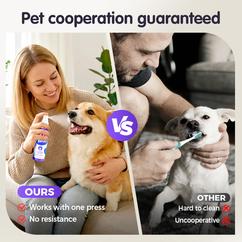 Cilifer® 🔥2026 New Arrivals: 50% Off for a Limited Time!🔥Teeth Cleaning Spray for Pets