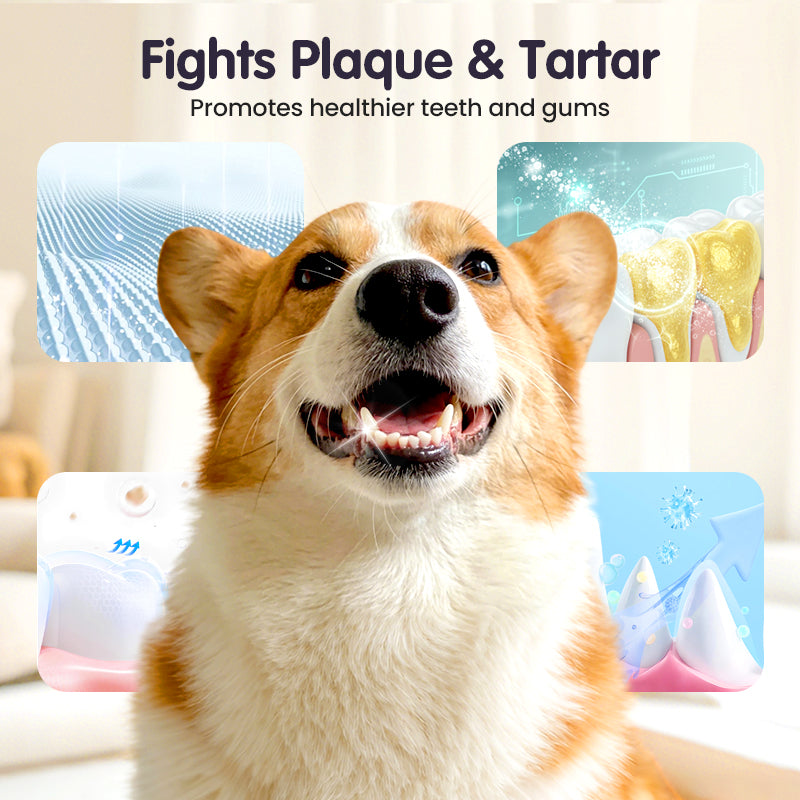 Cilifer® 🔥2026 New Arrivals: 50% Off for a Limited Time!🔥Teeth Cleaning Spray for Pets