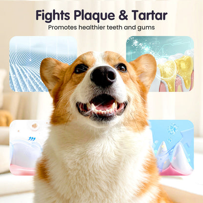 Cilifer® 🔥2026 New Arrivals: 50% Off for a Limited Time!🔥Teeth Cleaning Spray for Pets