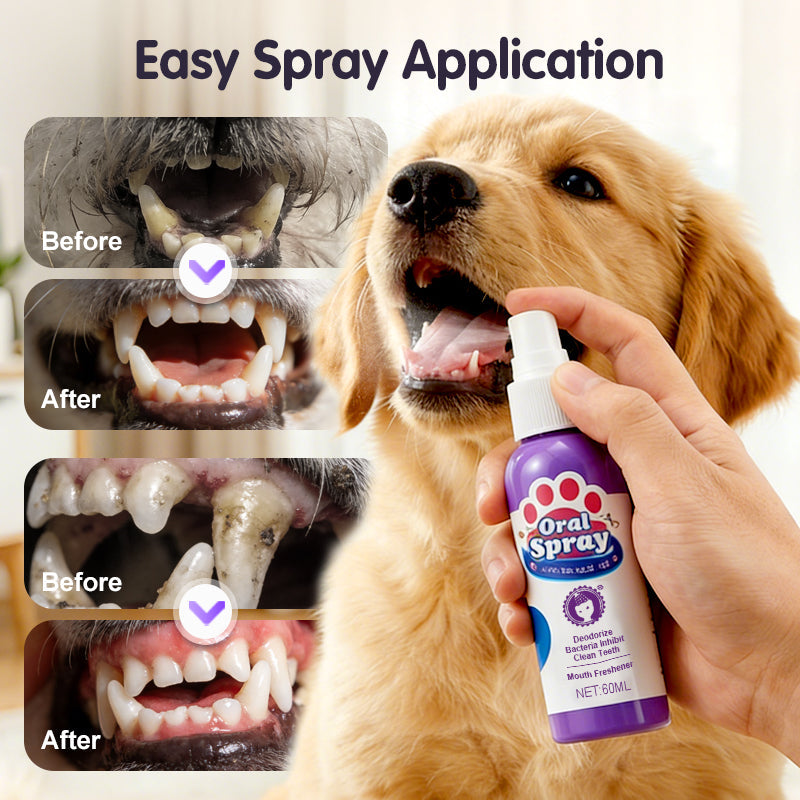 Cilifer® 🔥2026 New Arrivals: 50% Off for a Limited Time!🔥Teeth Cleaning Spray for Pets